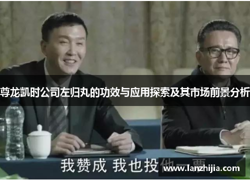 尊龙凯时公司左归丸的功效与应用探索及其市场前景分析