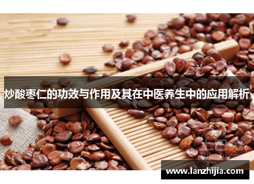 炒酸枣仁的功效与作用及其在中医养生中的应用解析