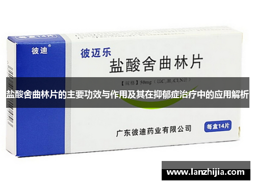 盐酸舍曲林片的主要功效与作用及其在抑郁症治疗中的应用解析